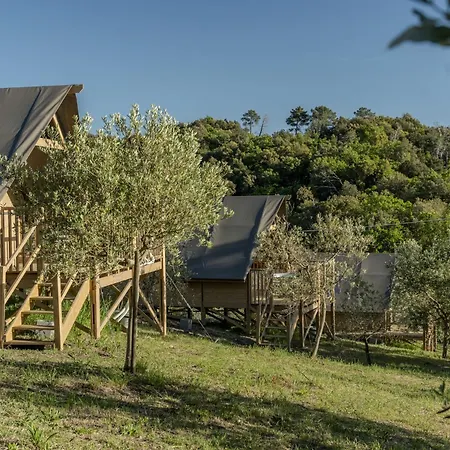 Luxury tent Glamping Pagliaini